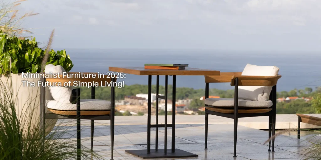 Minimalist Furniture in 2025 The Future of Simple Living!